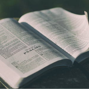 Entendendo a Palavra de Deus Entendendo a Palavra de Deus